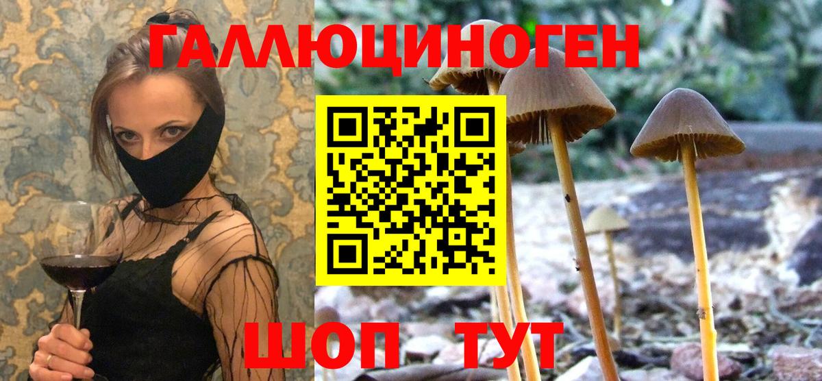 Галлюциногенные грибы прущие грибы  Вход с VPN  Кирово-Чепецк 