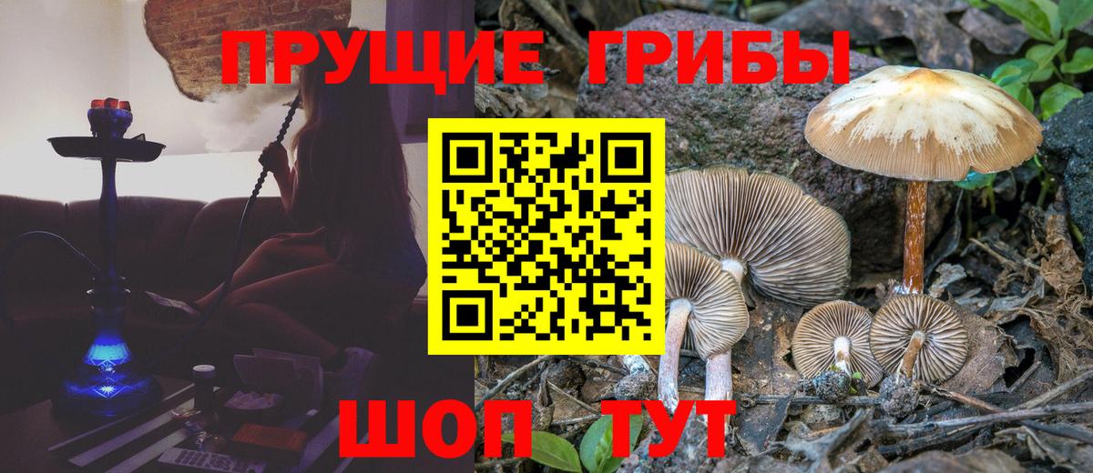 Галлюциногенные грибы Magic Shrooms Кирово-Чепецк